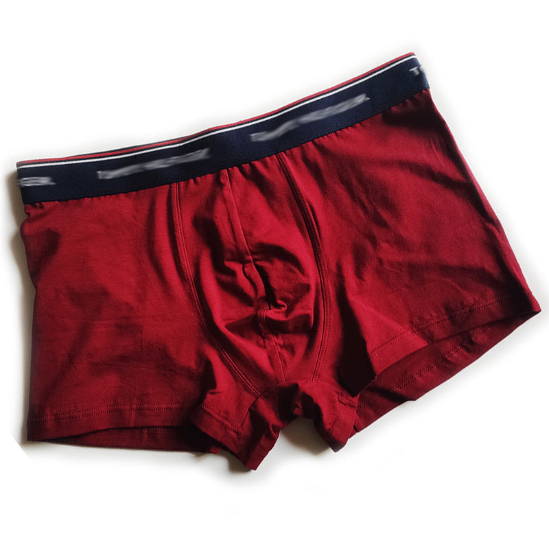 Ropa Interior Algodón Hombre Cintúrón Ancho | 5 Colores