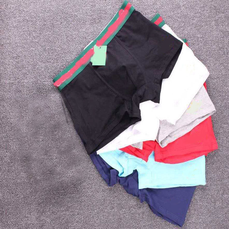 Boxer Hombre Algodón Puro | Little Bee Ropa Interior Cómoda 2026