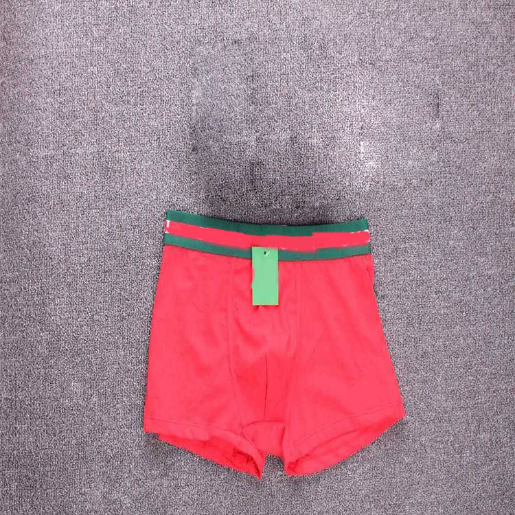 Boxer Hombre Algodón Puro | Little Bee Ropa Interior Cómoda 2026