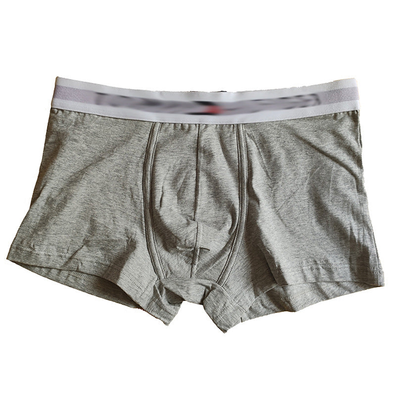 Ropa Interior Algodón Hombre Cintúrón Ancho | 5 Colores