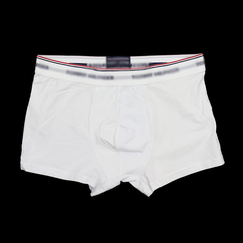 Ropa Interior Algodón Hombre Cintúrón Ancho | 5 Colores