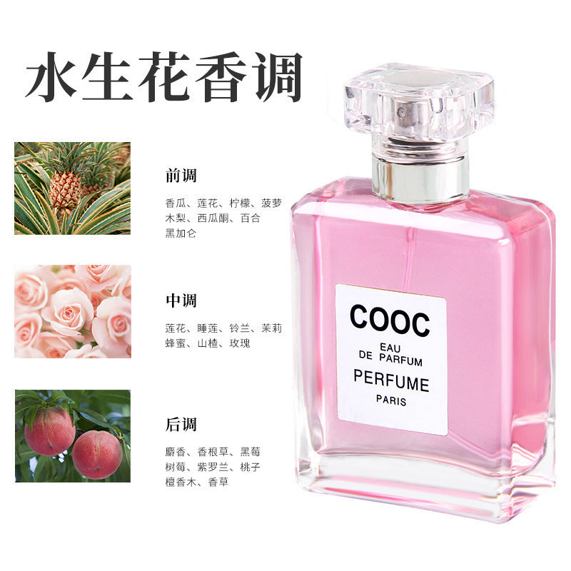 Spot cocoa lady cooc perfume lady fragancia de larga duración fragancia ligera citas Qixi perfume Miss Coco al por mayor