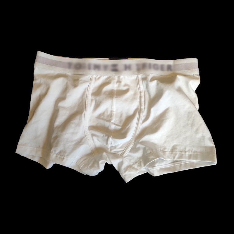 Ropa Interior Algodón Hombre Cintúrón Ancho | 5 Colores
