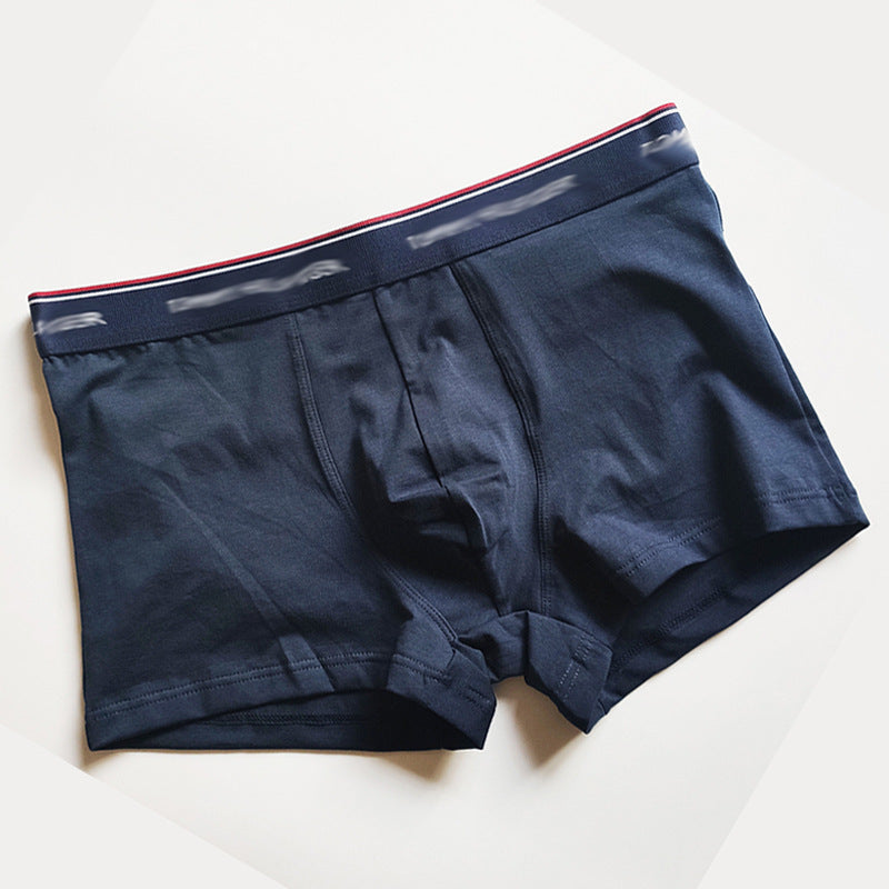 Ropa Interior Algodón Hombre Cintúrón Ancho | 5 Colores