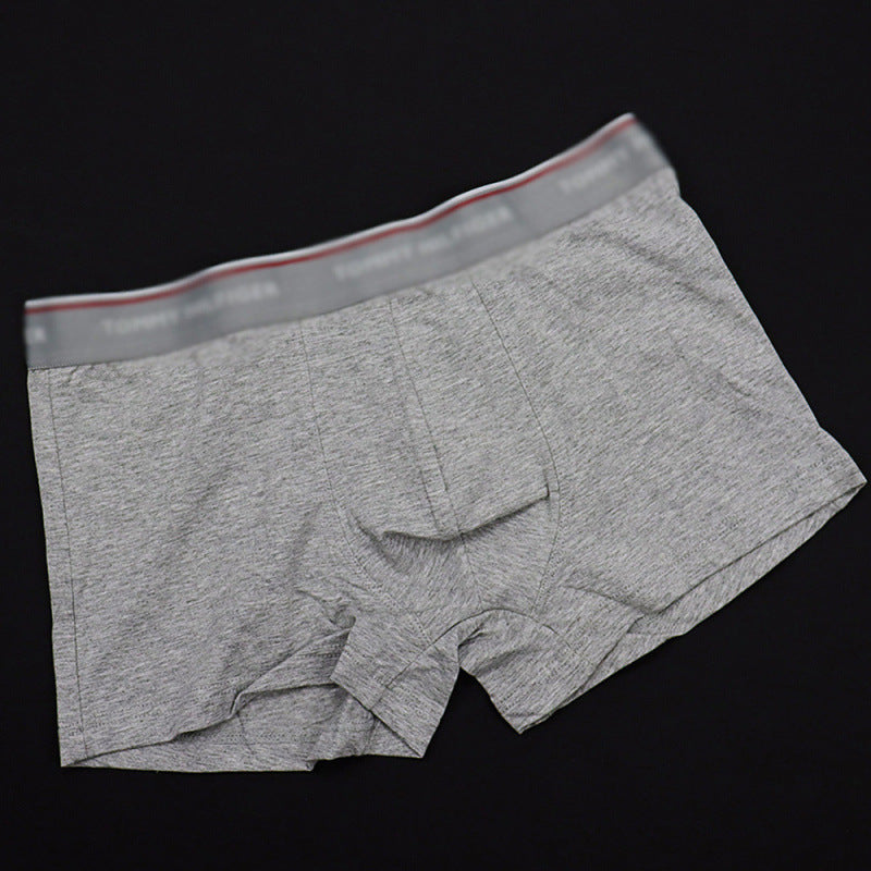 Ropa Interior Algodón Hombre Cintúrón Ancho | 5 Colores